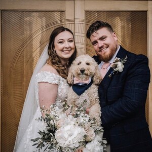 May include: A bride and groom pose for a wedding photo with their dog. The bride is wearing a white wedding dress and veil, and the groom is wearing a dark blue suit. The dog is a small, white poodle wearing a pink and blue bow tie.