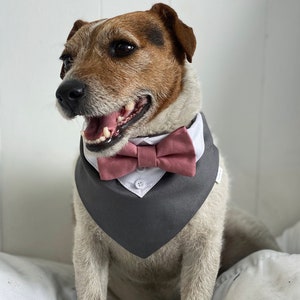 May include: A white and gray dog bandana with a pink bow tie. The bandana has a white collar and a button closure.