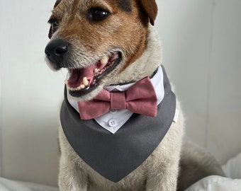 Grey Dog tuxedo with Dusty pink bow tie - Grey wedding attire with dusky rose bow tie - Over the collar dog wedding bandana with bow tie