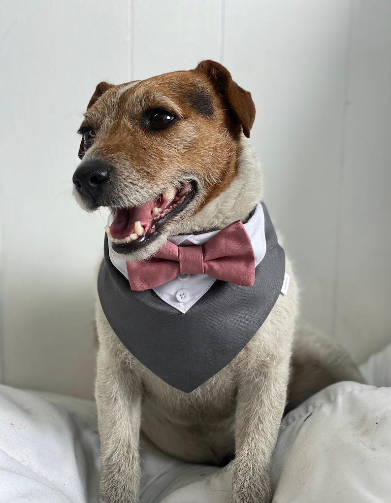 May include: A white and gray dog bandana with a pink bow tie. The bandana has a white collar and a button closure.