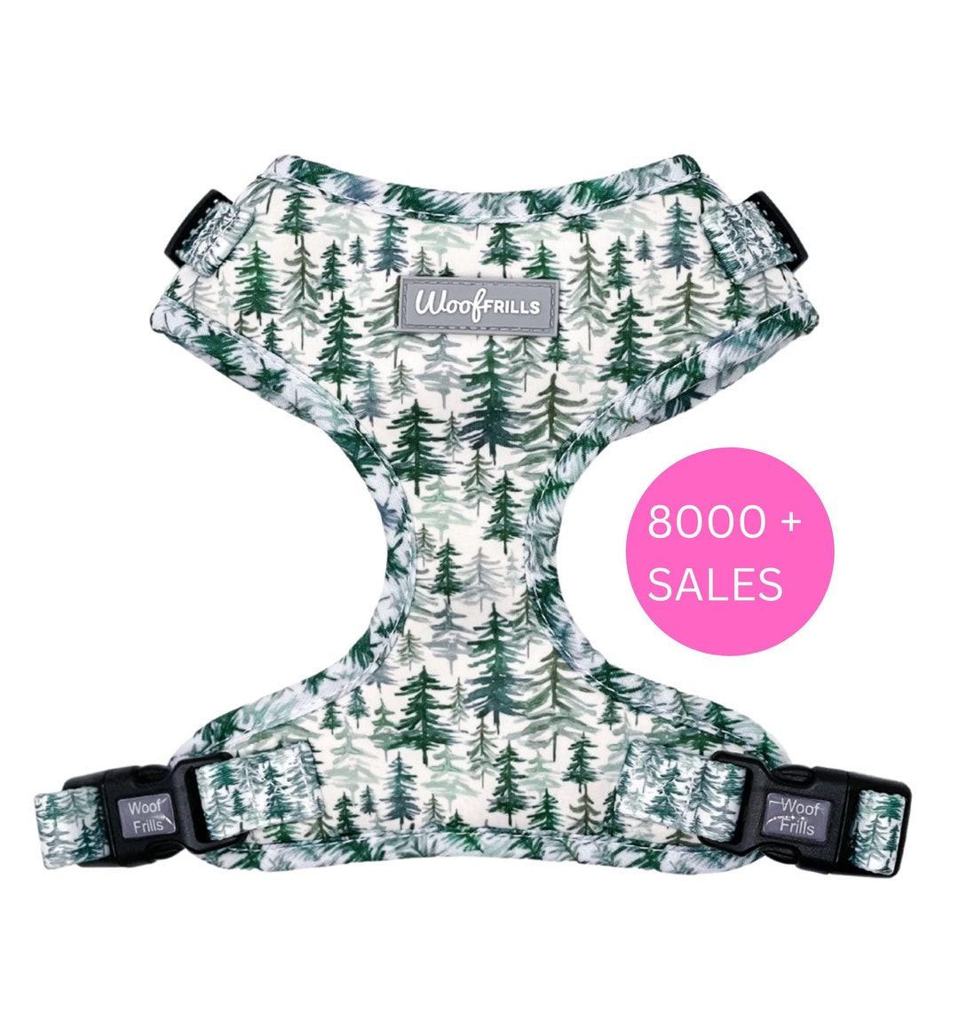 Green Dog Harness, Puppy Harness, Harness for Dog, Dachshund Harness