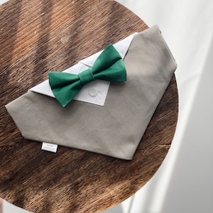 Beige Hundehalsband mit grüner Fliege - Beige Hochzeitskleidung mit grüner Fliege - Über dem Halsband Hund Hochzeit Bandana
