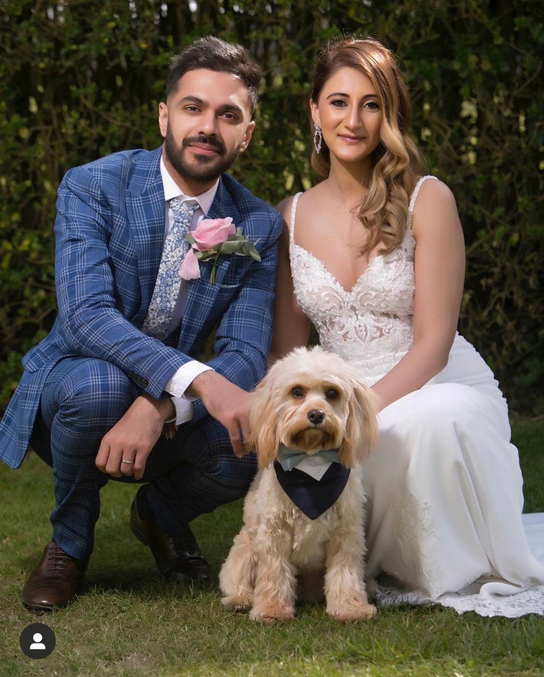 Dog wedding bandana Grey dog wedding tuxedo with sage bow tie Over the collar dog wedding bandana with bow tie image 6