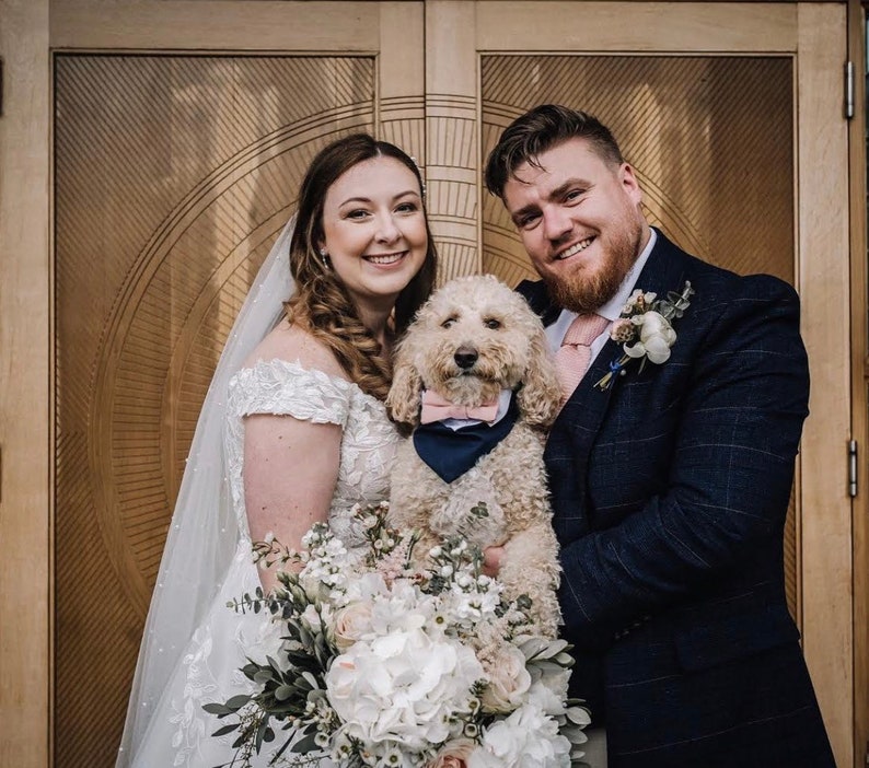 Puede incluir: Una novia y un novio posan para una foto de boda con su perro. La novia lleva un vestido de novia blanco y velo, y el novio lleva un traje azul oscuro. El perro es un caniche crema que lleva una pajarita rosa y azul.