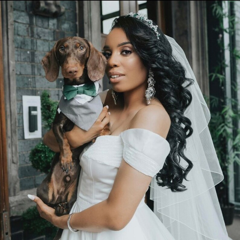 May include: A bride in a white off-the-shoulder wedding dress holds a brown and black dachshund wearing a gray vest and a green bow tie. The bride is wearing a veil and a tiara with rhinestones.