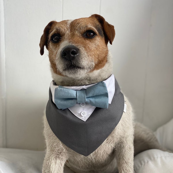 Grey Dog tuxedo with Dusty blue  bow tie - Grey wedding attire with Dusty blue bow tie - Over the collar dog wedding bandana with bow tie