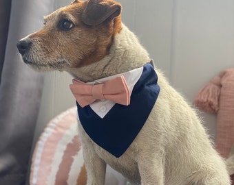 Navy blue Dog wedding tuxedo with Blush pink bow tie  - Navy blue dog wedding attire and Blush bow tie - Over the collar wedding bandana