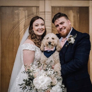 Dog wedding bandana Grey dog wedding tuxedo with sage bow tie Over the collar dog wedding bandana with bow tie image 7