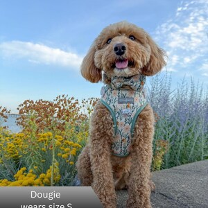 A dog harness and matching bow tie featuring a light-coloured floral pattern with green trim. The harness has a rectangular label with the text Woofreeze and a metal D-ring. A text overlay at the bottom states Dougie wears size S.