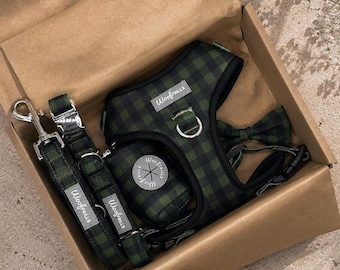 Conjunto de arnés para perro de tartán verde a elegir, collar, correa y arnés ajustable para cachorros.
