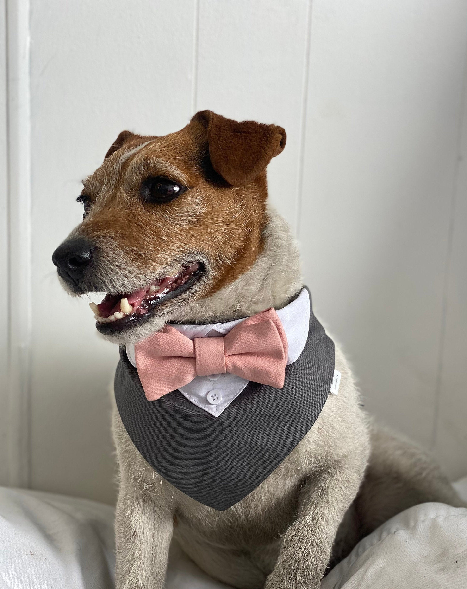 Collare Bandana Per Cani WANDIC | Con Papillon E Smoking | Regolabile Per Taglie Grandi | Per Occasioni Speciali - Foto 10