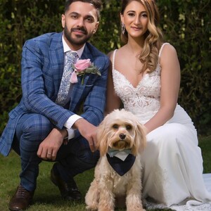 May include: A couple poses for a wedding photo with their dog. The groom is wearing a blue plaid suit with a light blue patterned tie and a pink flower boutonniere. The bride is wearing a white lace wedding dress. The dog is a cream-colored cockapoo wearing a blue bow tie.