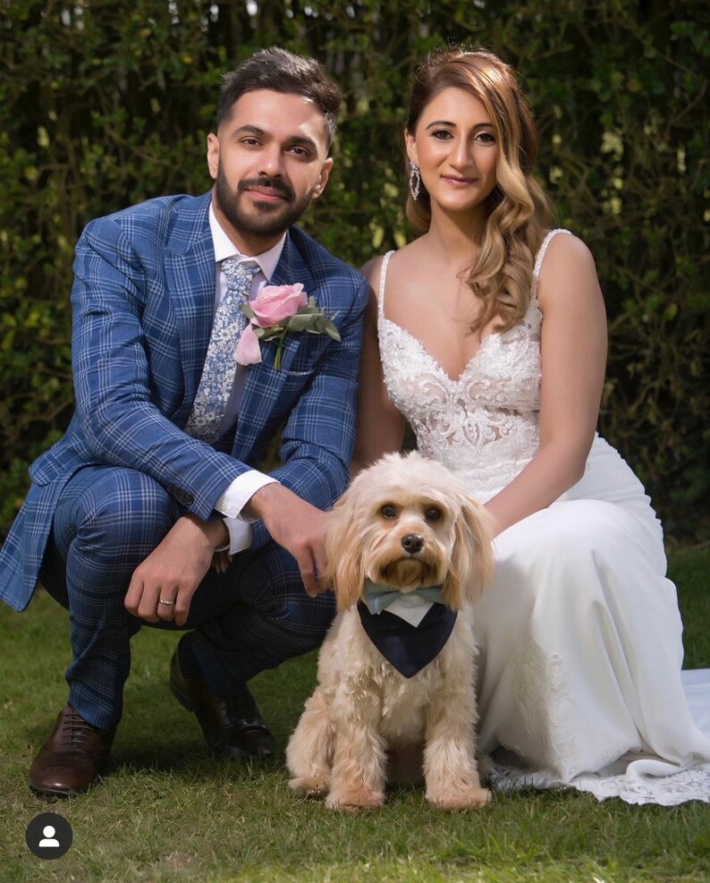 May include: A couple poses for a wedding photo with their dog. The groom is wearing a blue plaid suit with a light blue patterned tie and a pink flower boutonniere. The bride is wearing a white lace wedding dress. The dog is a cream-colored cockapoo wearing a blue bow tie.