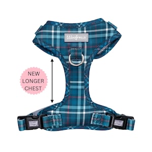 Tartan harness for dogs , Blue Puppy harness, Tartan Dog harness , Blue Small harness for dogs , Large dog harness, Blue dog harness