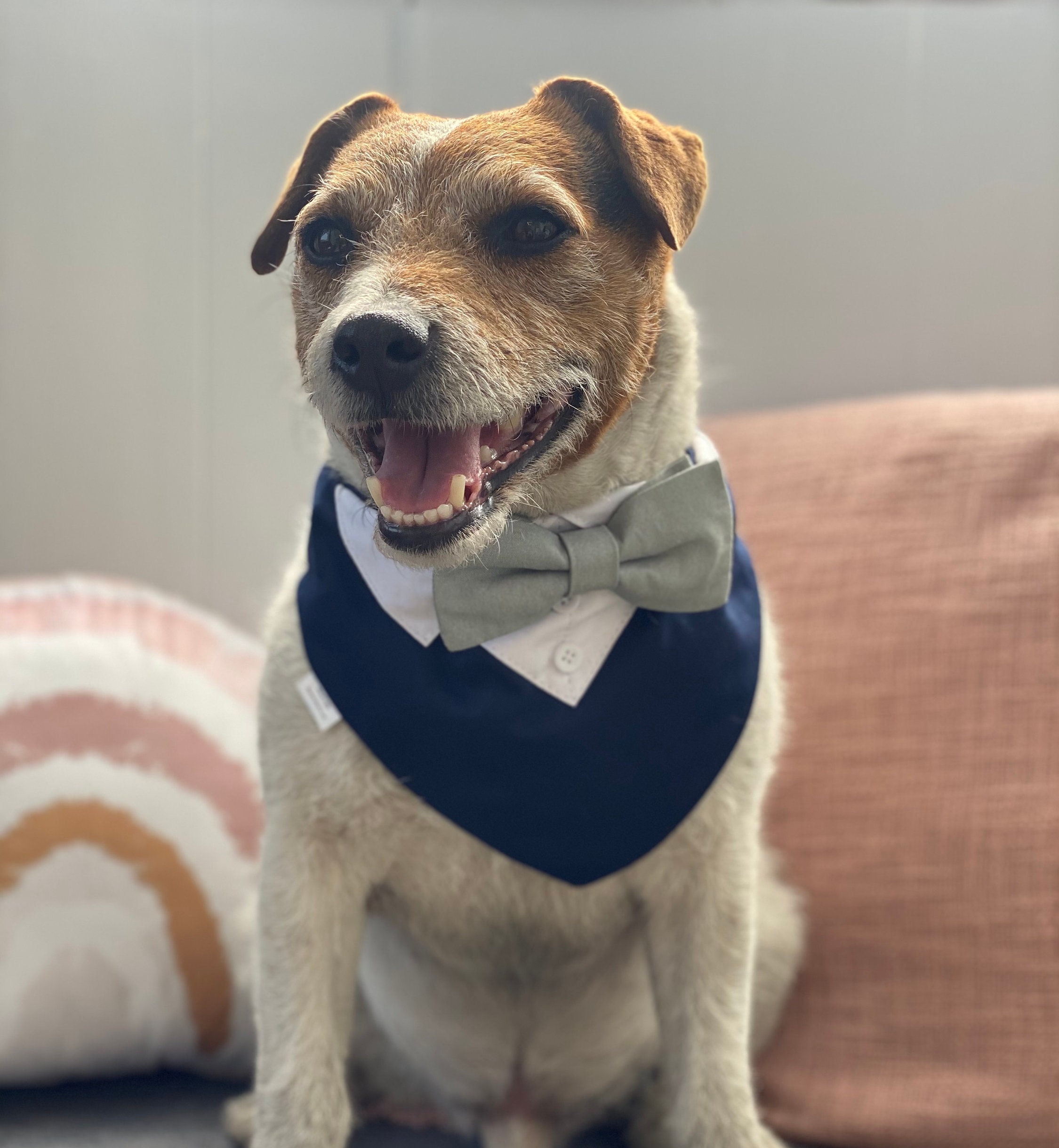 Marine blau Hund Hochzeit Smoking mit Salbei Fliege Marine Etsy