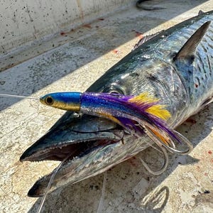 Hawaiian Lures - Etsy Hawaiian Lures - Etsy