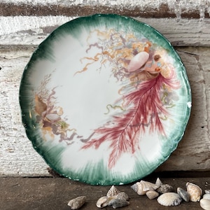 Plato de gabinete antiguo de Limoges, Francia, pintado a mano / Motivo de algas y conchas marinas / Plato decorativo de porcelana francesa / Decoración costera vintage