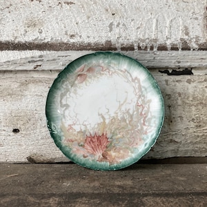 Vintage Limoges Plate: Hand-Painted Nautical Cherub, Seaweed & Shells