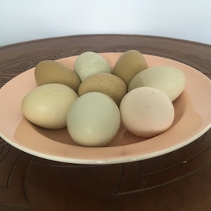 Conjunto de Tigelas Poole England Peach Bloom Vintage Meados do Século XX em Dois Tons, para Sopa e Salada, Cerâmica Retrô