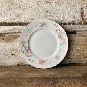 Vintage Bernardaud Limoges Speiseteller: Rosa Wildrosen, Frankreich