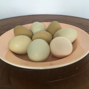 Vintage Poole Pottery Peach Soup Bowls - Twin Tone England
