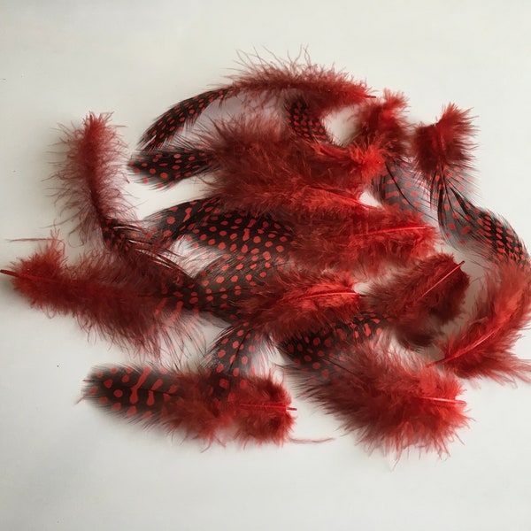 Red Pheasant Feathers 10 Pieces 8-14 sm