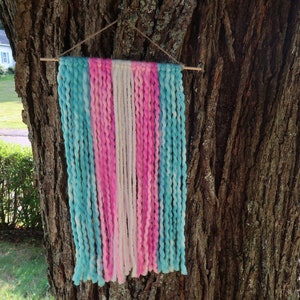 Trans pride home decor (option 1)
