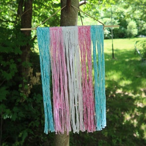 Trans pride home decor (option 2)