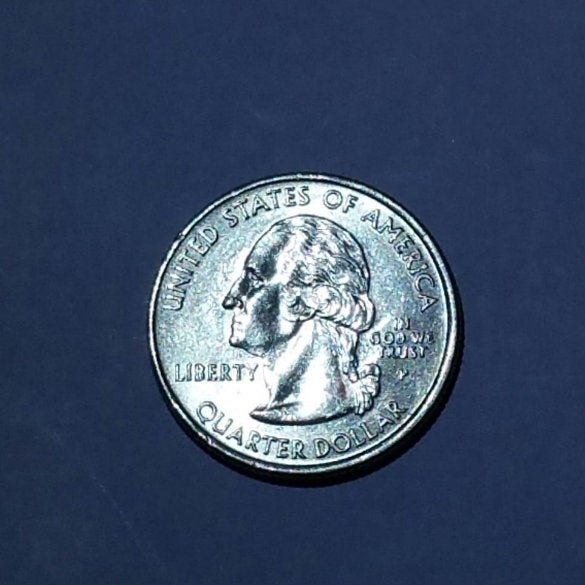Rare 2006 South Dakota Quarter Etsy