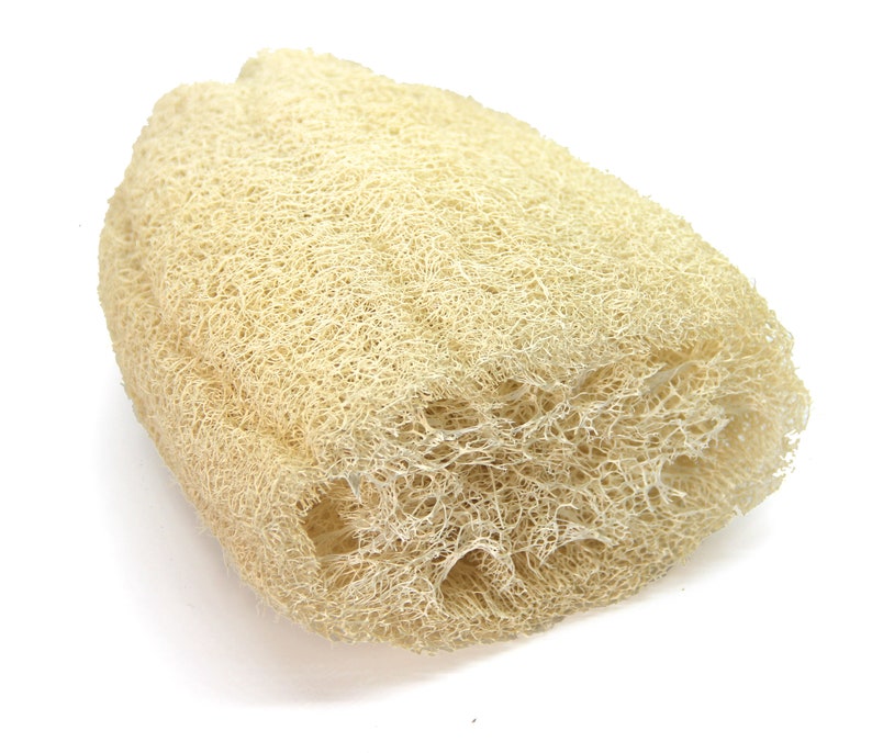 Natural Egyptian Loofah luffa Bath Sponge Loofah Body Etsy