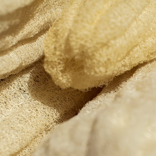 Natural Egyptian Loofah (Luffa) - Bath Sponge Loofah Body Scrubber