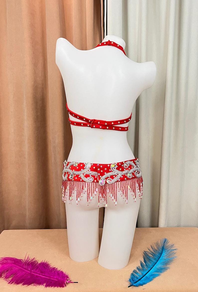 Handmade Beaded Belly Dance Samba Costume Bra Belt With Hip Tassels ...