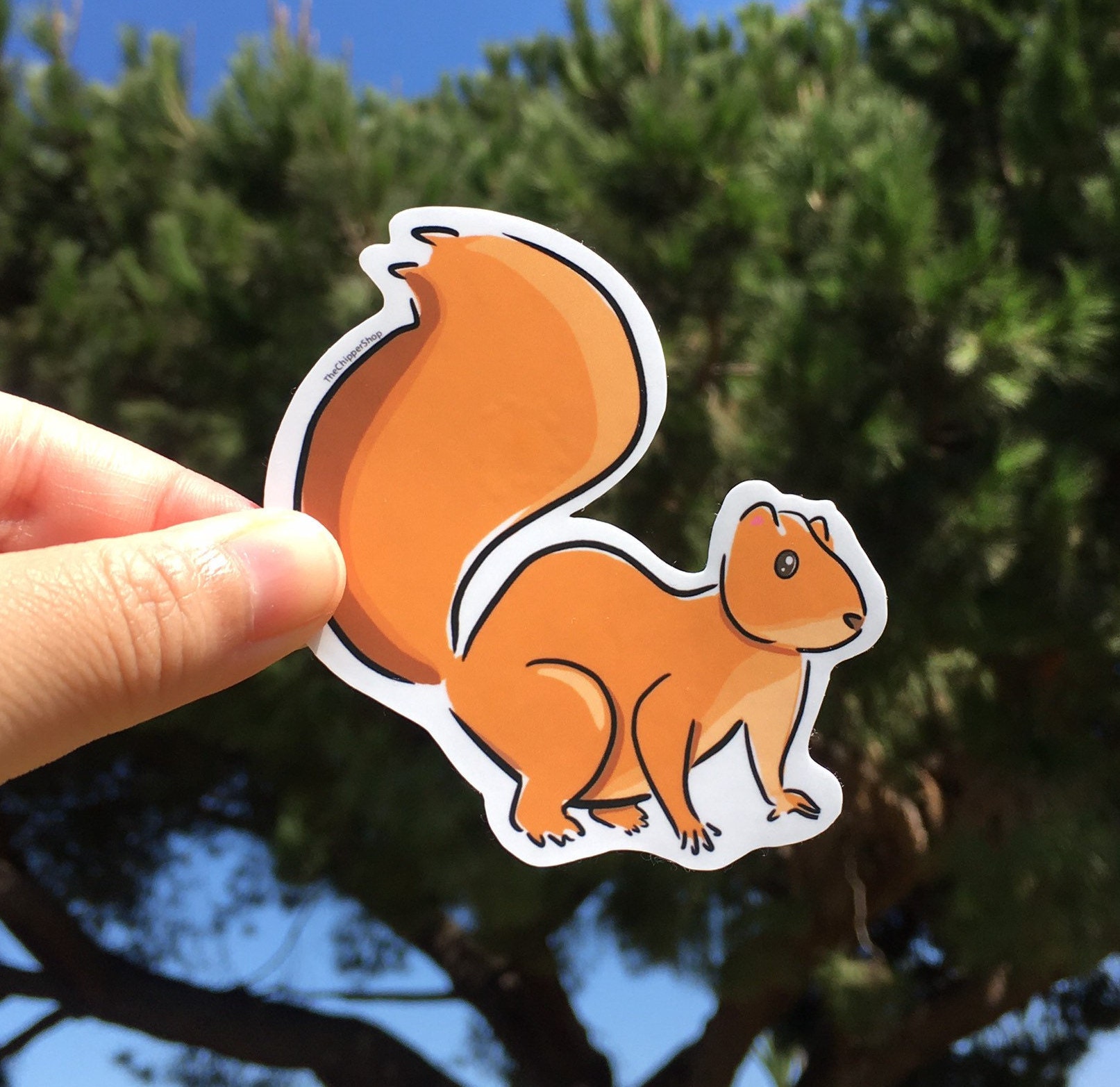 Squirrel Vinyl Sticker Animal Sticker Rodent Sticker Animal | Etsy