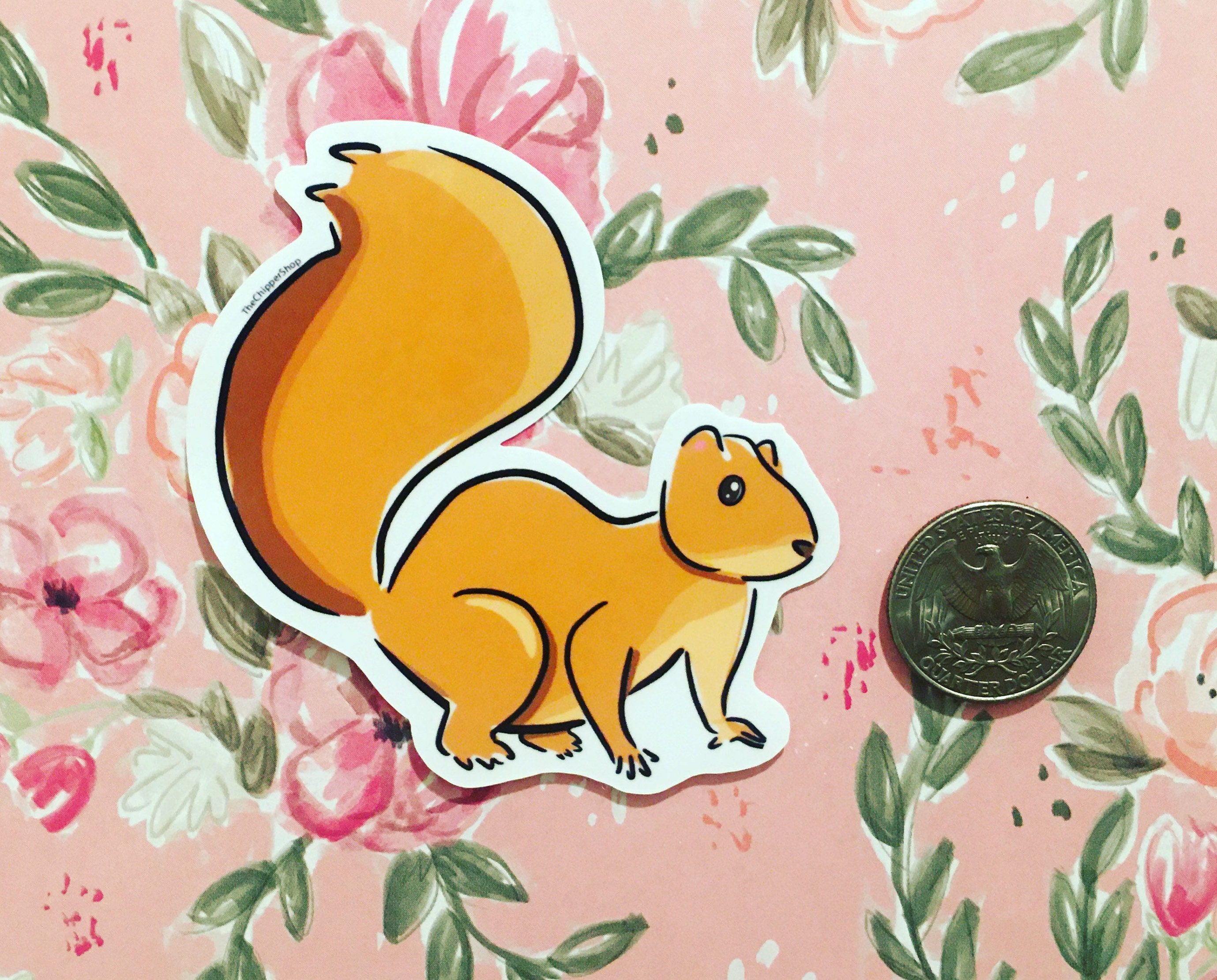 Squirrel Vinyl Sticker Animal Sticker Rodent Sticker Animal Etsy