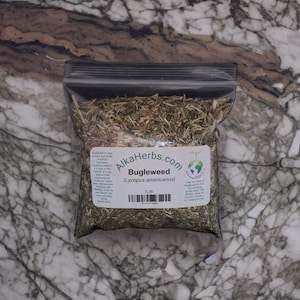 Bugleweed (Lycopus americanus)