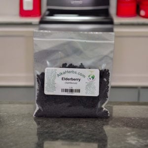 Elderberry ( Sambucus nigra )