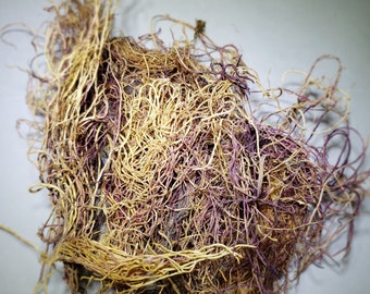 Sebian Sea Moss ( Chondrus crispus )