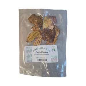 Duck Flower Detox - Flor de Pato,  Approved Alkaline Herbal Cleanse- Dried, Blended, Powder, Capsules