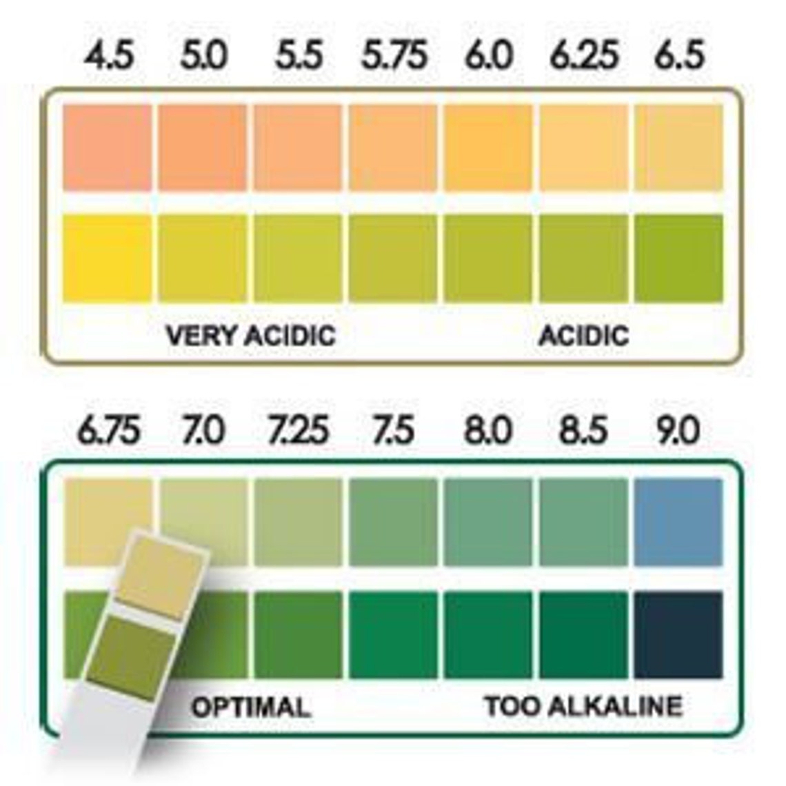 Saliva/Urine PH test strips. Sample pack. Check your Etsy