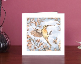 Charming and colourful bird illustration art card showing a flying sunbird.