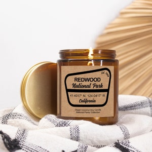 Redwood National Park Candle - Amber Jar Container Candle