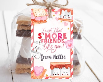May include: A pink and white gift tag with a s'more theme. It says "I wish I had s'more friends like you!" and "from Nellie". The tag is tied to a bag of s'mores ingredients.