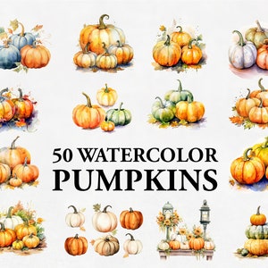 50 Watercolour Pumpkin Clipart - autumn watercolor pumpkin transparent PNG, Fall watercolour pumpkin instant download