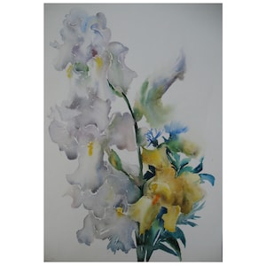 Fiori estivi, Iris grigie, Pittura ad acquerello originale su carta, Acquerello bagnato, Regalo per lei, Decorazione floreale, Arte ucraina di A.Trachuk