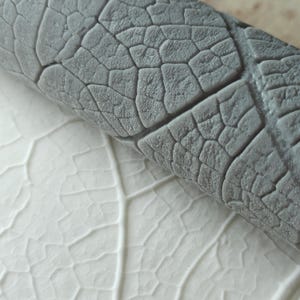 Rullo per texture L34, texture organica, rotolo floreale, foglia, texture foglia, texture organica, rotolo botanico, timbro in argilla polimerica, timbro in ceramica,