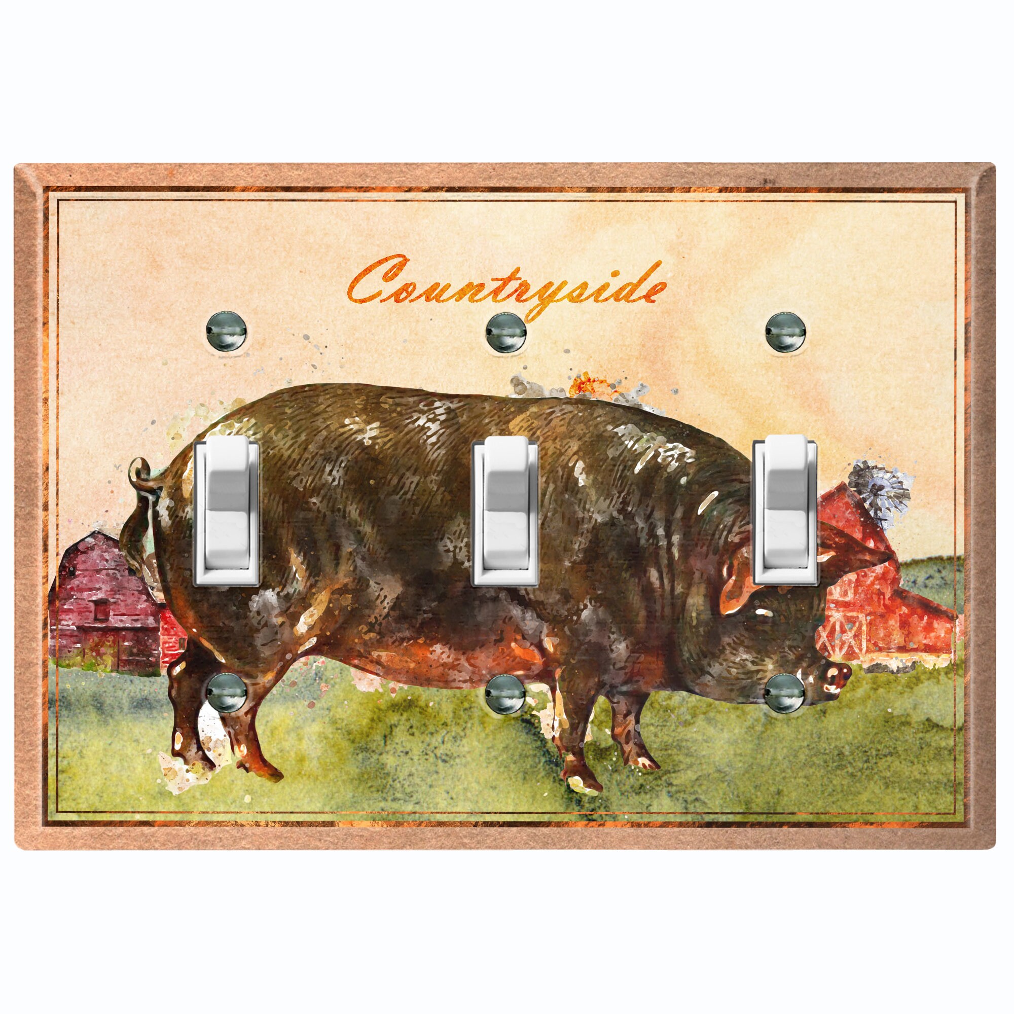 Interruptor de luz de metal / cubierta de placa de pared | Etsy