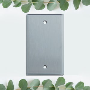 May include: A brushed nickel wall plate cover with two round holes. The plate is rectangular and has a slightly rounded edge.