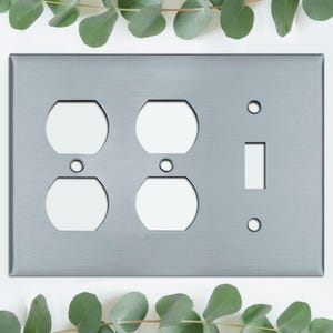 May include: A brushed silver metal light switch plate featuring four electrical outlets and a single light switch. The plate is rectangular with rounded corners, and is surrounded by green leaves.