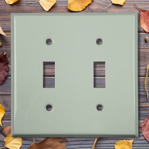 Metal Light Switch Cover | Light Switch Plate, Outlet Cover, Wall Plate, Home Decor Idea, Trendy Color for Room, SOLID LIGHT GREEN, CLR013