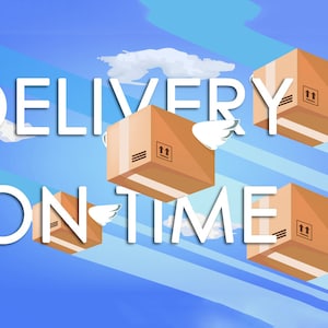 FAST SHIPPING, Delivery on time, Priority Order, not included towels